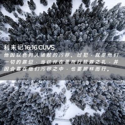 Picture 02 - 利 未 记 16:16 CUVS - 他 因 以 色 列 人 诸 般 的 污 秽 、 - Bible Verse Picture