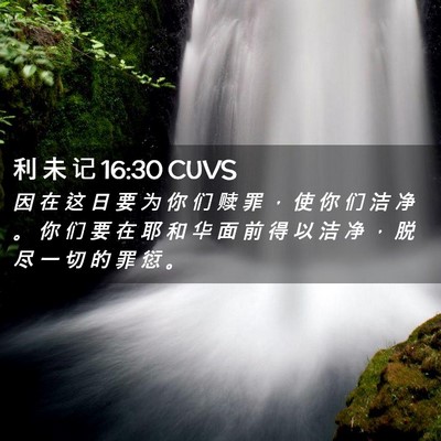 Picture 02 - 利 未 记 16:30 CUVS - 因 在 这 日 要 为 你 们 赎 罪 ， 使 - Bible Verse Picture
