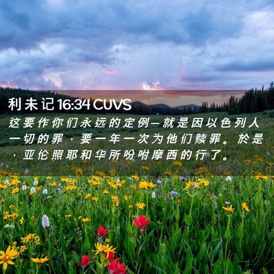 Picture 02 - 利 未 记 16:34 CUVS - 这 要 作 你 们 永 远 的 定 例 ─ 就 - Bible Verse Picture