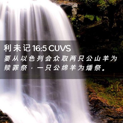 Picture 02 - 利 未 记 16:5 CUVS - 要 从 以 色 列 会 众 取 两 只 公 山 - Bible Verse Picture