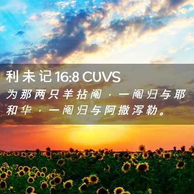 Picture 02 - 利 未 记 16:8 CUVS - 为 那 两 只 羊 拈 阄 ， 一 阄 归 与 - Bible Verse Picture