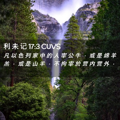 Picture 02 - 利 未 记 17:3 CUVS - 凡 以 色 列 家 中 的 人 宰 公 牛 ， - Bible Verse Picture