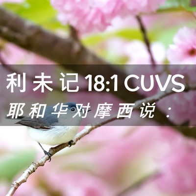 Picture 02 - 利 未 记 18:1 CUVS - 耶 和 华 对 摩 西 说 - Bible Verse Picture