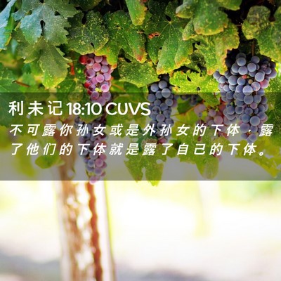 Picture 02 - 利 未 记 18:10 CUVS - 不 可 露 你 孙 女 或 是 外 孙 女 的 - Bible Verse Picture