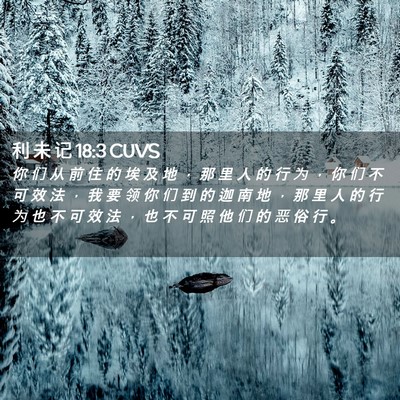 Picture 02 - 利 未 记 18:3 CUVS - 你 们 从 前 住 的 埃 及 地 ， 那 里 - Bible Verse Picture
