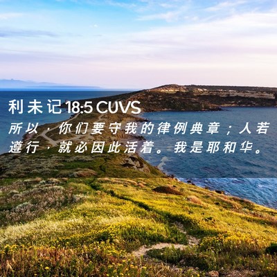Picture 02 - 利 未 记 18:5 CUVS - 所 以 ， 你 们 要 守 我 的 律 例 典 - Bible Verse Picture