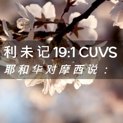 Picture 02 - 利 未 记 19:1 CUVS - 耶 和 华 对 摩 西 说 - Bible Verse Picture