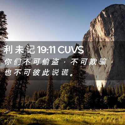 Picture 02 - 利 未 记 19:11 CUVS - 你 们 不 可 偷 盗 ， 不 可 欺 骗 ， - Bible Verse Picture