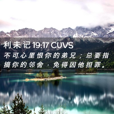 Picture 02 - 利 未 记 19:17 CUVS - 不 可 心 里 恨 你 的 弟 兄 ； 总 要 - Bible Verse Picture