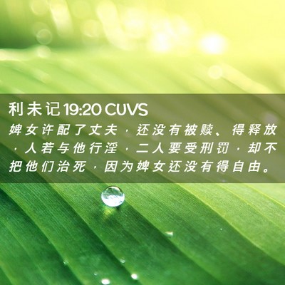 Picture 02 - 利 未 记 19:20 CUVS - 婢 女 许 配 了 丈 夫 ， 还 没 有 被 - Bible Verse Picture