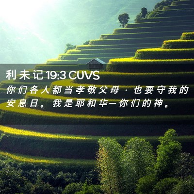 Picture 02 - 利 未 记 19:3 CUVS - 你 们 各 人 都 当 孝 敬 父 母 ， 也 - Bible Verse Picture