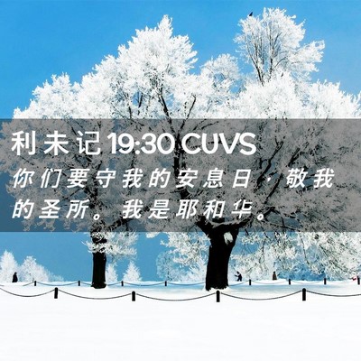 Picture 02 - 利 未 记 19:30 CUVS - 你 们 要 守 我 的 安 息 日 ， 敬 我 - Bible Verse Picture