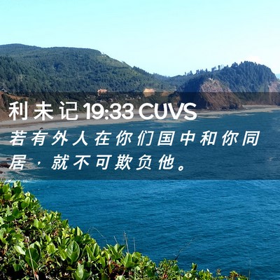 Picture 02 - 利 未 记 19:33 CUVS - 若 有 外 人 在 你 们 国 中 和 你 同 - Bible Verse Picture