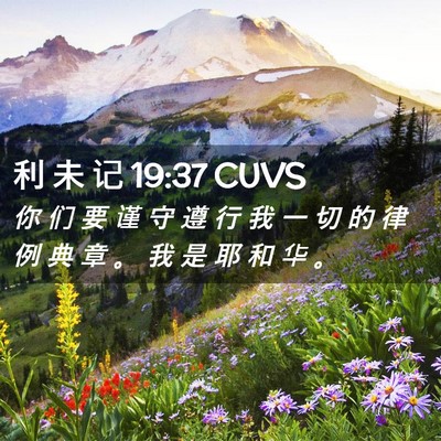 Picture 02 - 利 未 记 19:37 CUVS - 你 们 要 谨 守 遵 行 我 一 切 的 律 - Bible Verse Picture