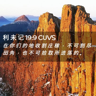 Picture 02 - 利 未 记 19:9 CUVS - 在 你 们 的 地 收 割 庄 稼 ， 不 可 - Bible Verse Picture