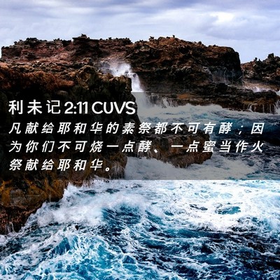 Picture 02 - 利 未 记 2:11 CUVS - 凡 献 给 耶 和 华 的 素 祭 都 不 可 - Bible Verse Picture