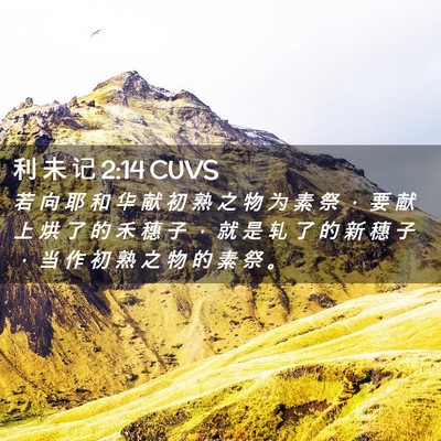 Picture 02 - 利 未 记 2:14 CUVS - 若 向 耶 和 华 献 初 熟 之 物 为 素 - Bible Verse Picture