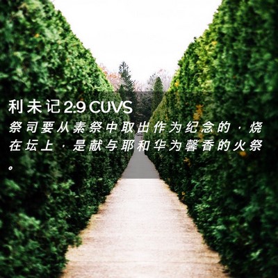 Picture 02 - 利 未 记 2:9 CUVS - 祭 司 要 从 素 祭 中 取 出 作 为 纪 - Bible Verse Picture
