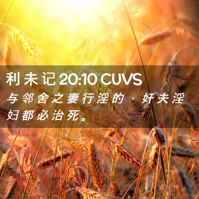 Picture 02 - 利 未 记 20:10 CUVS - 与 邻 舍 之 妻 行 淫 的 ， 奸 夫 淫 - Bible Verse Picture