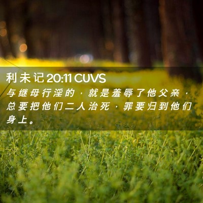 Picture 02 - 利 未 记 20:11 CUVS - 与 继 母 行 淫 的 ， 就 是 羞 辱 了 - Bible Verse Picture