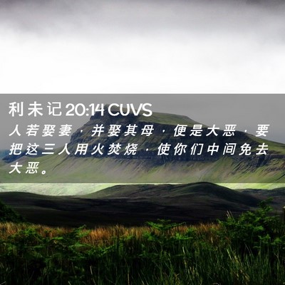 Picture 02 - 利 未 记 20:14 CUVS - 人 若 娶 妻 ， 并 娶 其 母 ， 便 是 - Bible Verse Picture
