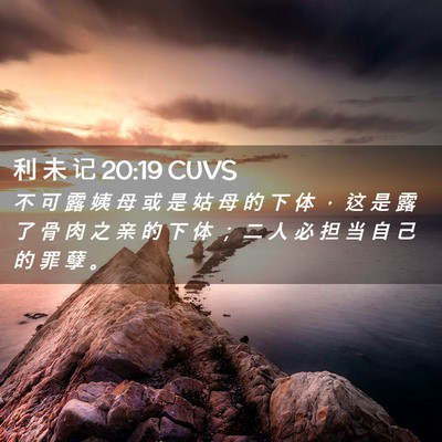 Picture 02 - 利 未 记 20:19 CUVS - 不 可 露 姨 母 或 是 姑 母 的 下 体 - Bible Verse Picture