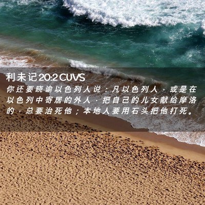 Picture 02 - 利 未 记 20:2 CUVS - 你 还 要 晓 谕 以 色 列 人 说 ： 凡 - Bible Verse Picture