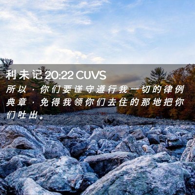 Picture 02 - 利 未 记 20:22 CUVS - 所 以 ， 你 们 要 谨 守 遵 行 我 一 - Bible Verse Picture