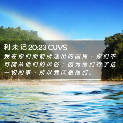 Picture 02 - 利 未 记 20:23 CUVS - 我 在 你 们 面 前 所 逐 出 的 国 民 - Bible Verse Picture