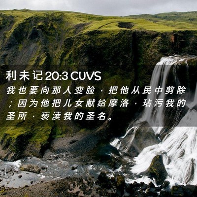 Picture 02 - 利 未 记 20:3 CUVS - 我 也 要 向 那 人 变 脸 ， 把 他 从 - Bible Verse Picture