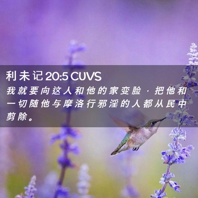 Picture 02 - 利 未 记 20:5 CUVS - 我 就 要 向 这 人 和 他 的 家 变 脸 - Bible Verse Picture
