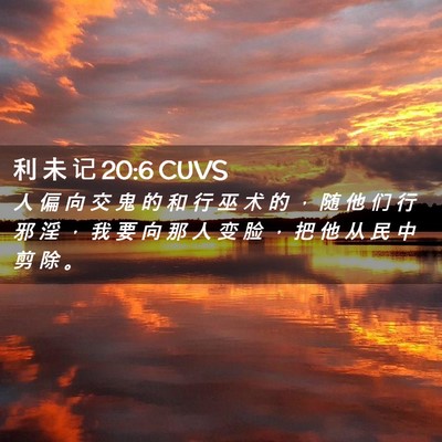 Picture 02 - 利 未 记 20:6 CUVS - 人 偏 向 交 鬼 的 和 行 巫 术 的 ， - Bible Verse Picture