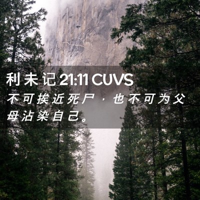 Picture 02 - 利 未 记 21:11 CUVS - 不 可 挨 近 死 尸 ， 也 不 可 为 父 - Bible Verse Picture