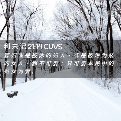 Picture 02 - 利 未 记 21:14 CUVS - 寡 妇 或 是 被 休 的 妇 人 ， 或 是 - Bible Verse Picture