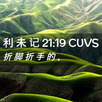 Picture 02 - 利 未 记 21:19 CUVS - 折 脚 折 手 的 - Bible Verse Picture