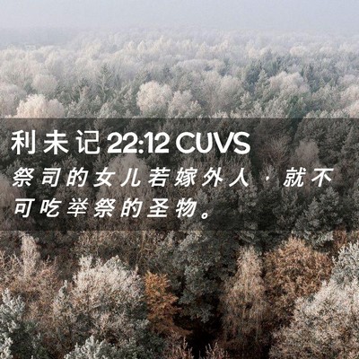 Picture 02 - 利 未 记 22:12 CUVS - 祭 司 的 女 儿 若 嫁 外 人 ， 就 不 - Bible Verse Picture