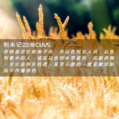 Picture 02 - 利 未 记 22:18 CUVS - 你 晓 谕 亚 伦 和 他 子 孙 ， 并 以 - Bible Verse Picture