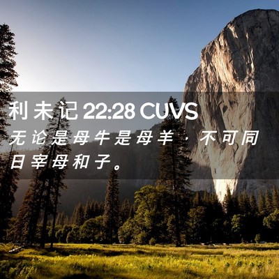 Picture 02 - 利 未 记 22:28 CUVS - 无 论 是 母 牛 是 母 羊 ， 不 可 同 - Bible Verse Picture