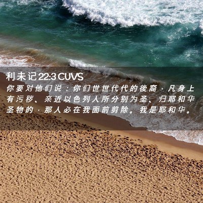 Picture 02 - 利 未 记 22:3 CUVS - 你 要 对 他 们 说 ： 你 们 世 世 代 - Bible Verse Picture