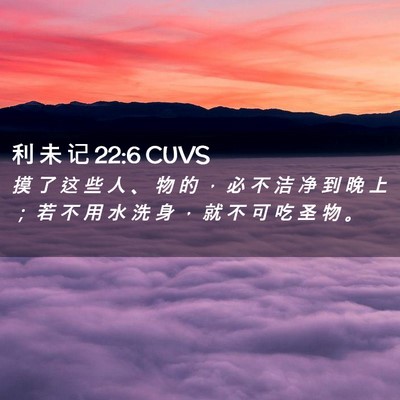 Picture 02 - 利 未 记 22:6 CUVS - 摸 了 这 些 人 、 物 的 ， 必 不 洁 - Bible Verse Picture