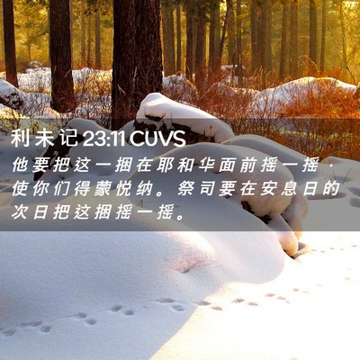 Picture 02 - 利 未 记 23:11 CUVS - 他 要 把 这 一 捆 在 耶 和 华 面 前 - Bible Verse Picture