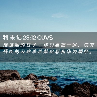 Picture 02 - 利 未 记 23:12 CUVS - 摇 这 捆 的 日 子 ， 你 们 要 把 一 - Bible Verse Picture
