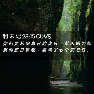 Picture 02 - 利 未 记 23:15 CUVS - 你 们 要 从 安 息 日 的 次 日 ， 献 - Bible Verse Picture