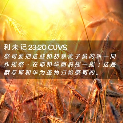 Picture 02 - 利 未 记 23:20 CUVS - 祭 司 要 把 这 些 和 初 熟 麦 子 做 - Bible Verse Picture