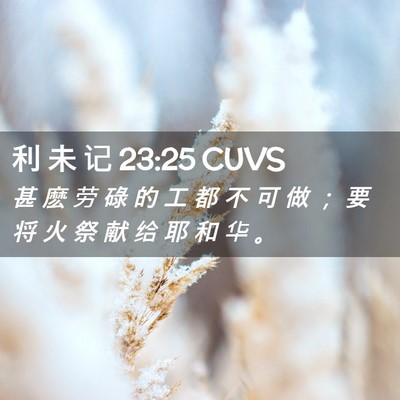 Picture 02 - 利 未 记 23:25 CUVS - 甚 麽 劳 碌 的 工 都 不 可 做 ； 要 - Bible Verse Picture