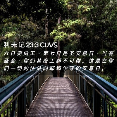 Picture 02 - 利 未 记 23:3 CUVS - 六 日 要 做 工 ， 第 七 日 是 圣 安 - Bible Verse Picture