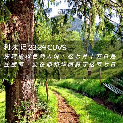Picture 02 - 利 未 记 23:34 CUVS - 你 晓 谕 以 色 列 人 说 ： 这 七 月 - Bible Verse Picture