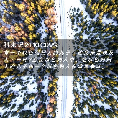 Picture 02 - 利 未 记 24:10 CUVS - 有 一 个 以 色 列 妇 人 的 儿 子 ， - Bible Verse Picture