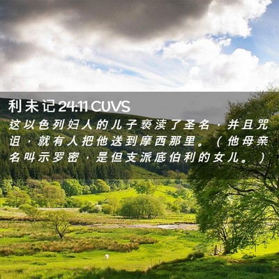 Picture 02 - 利 未 记 24:11 CUVS - 这 以 色 列 妇 人 的 儿 子 亵 渎 了 - Bible Verse Picture