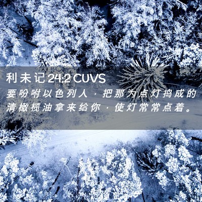 Picture 02 - 利 未 记 24:2 CUVS - 要 吩 咐 以 色 列 人 ， 把 那 为 点 - Bible Verse Picture